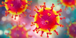 TDSB Closing Schools Until April 5 in Response to COVID-19 Pandemic.